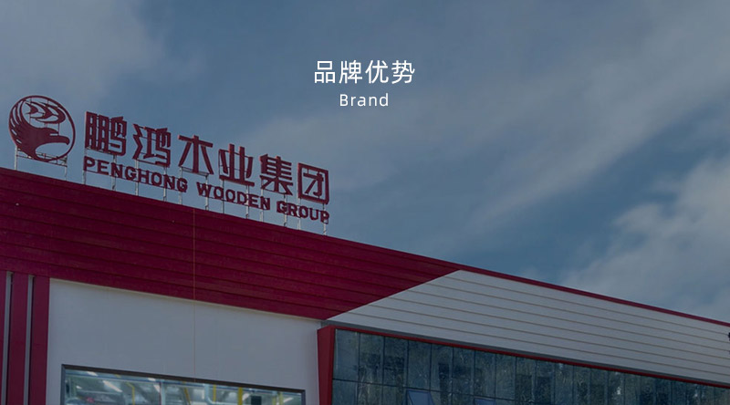 板材品牌、全屋定制品牌、生態(tài)板十大品牌